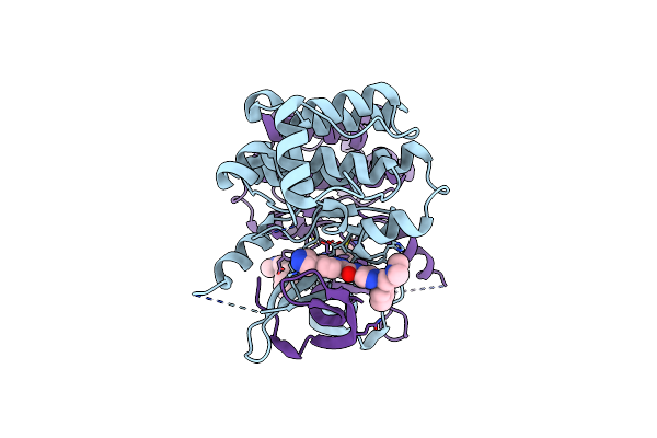 4PPB image