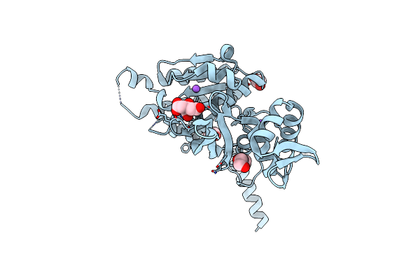 4PPF image