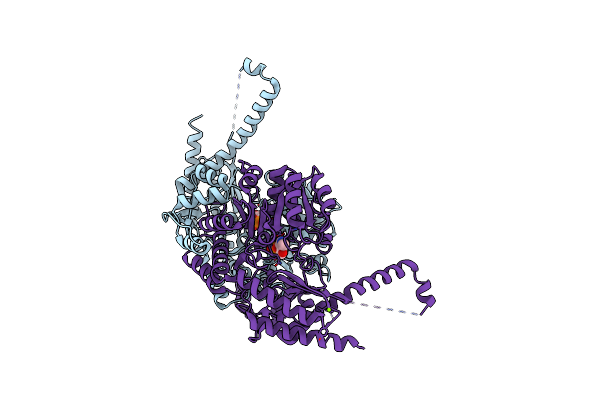 4PPM image