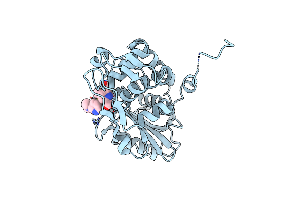 4PPR image