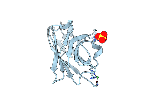 4PPT image