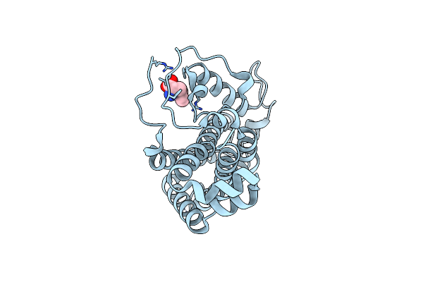 4PPU image