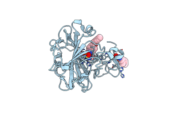 4PQ7 image