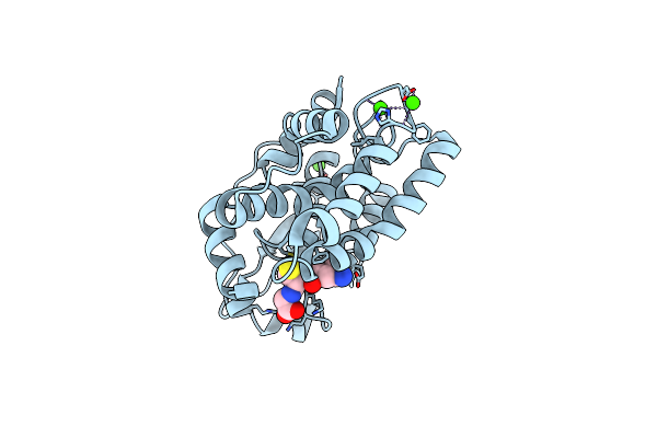4PQI image