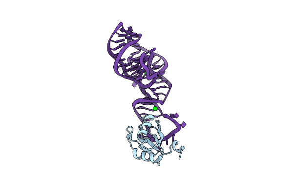 4PRF image