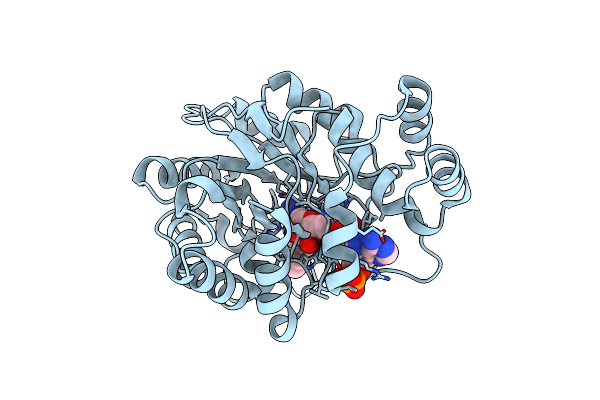 4PRT image