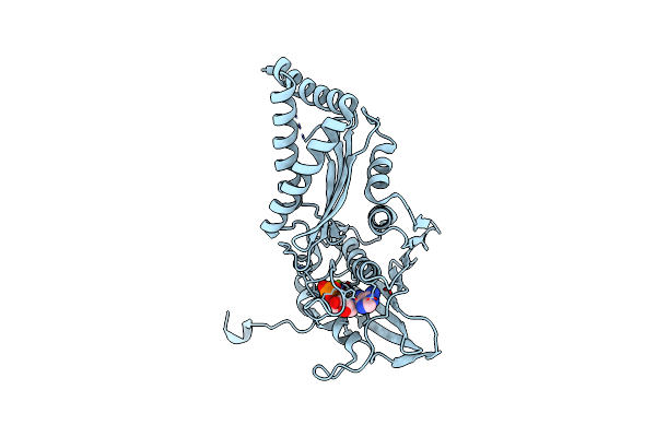 4PRV image