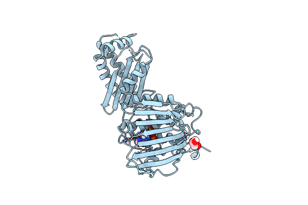 4PRX image