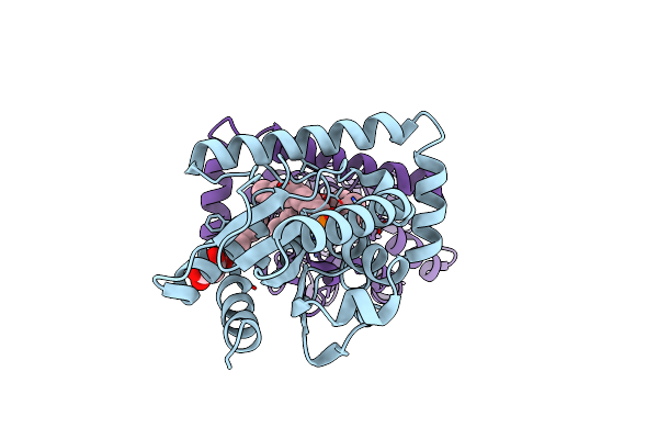 4PSE image