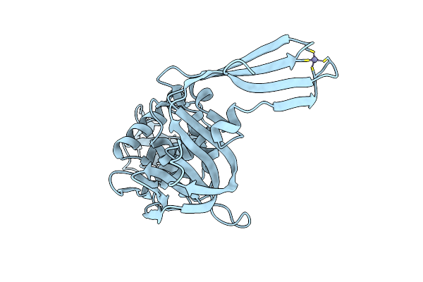 4PT5 image