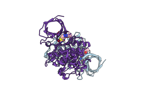 4PTC image
