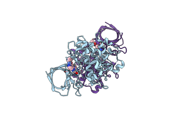 4PTG image