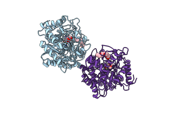 4PTW image