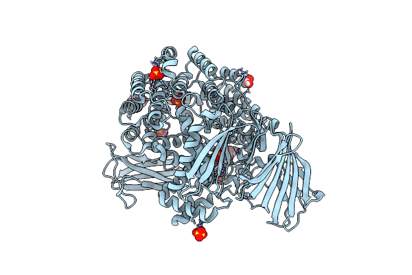 4PU2 image