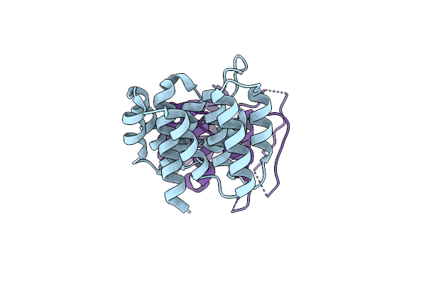 4PUS image