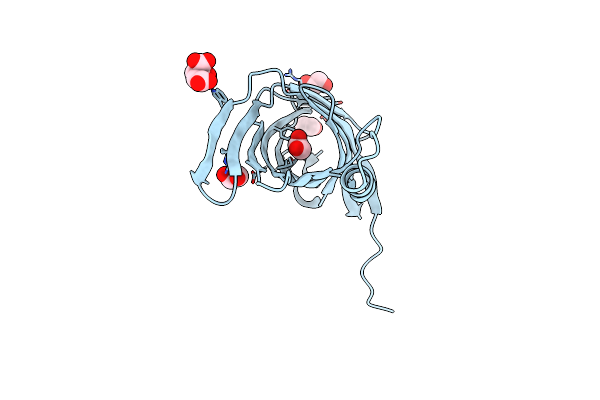 4PUX image