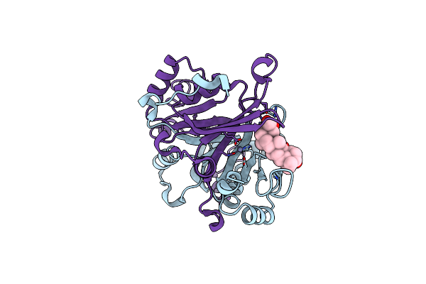 4PV5 image