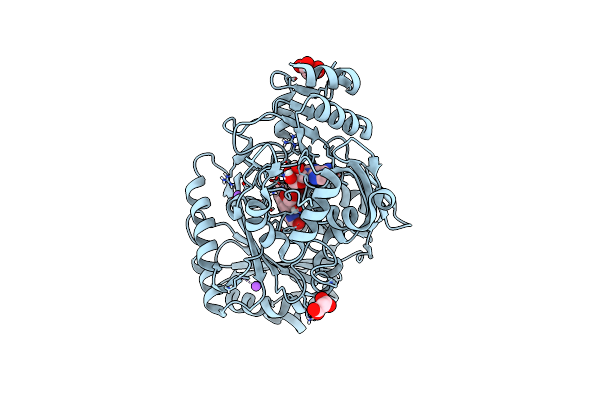 4PVH image