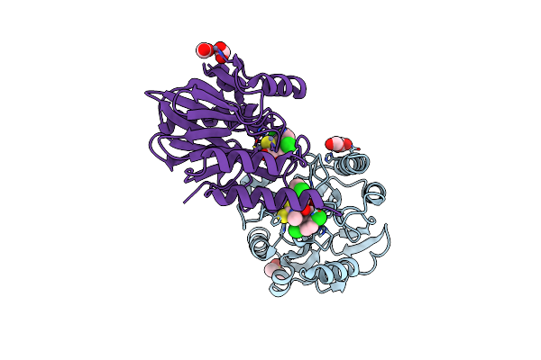 4PVO image