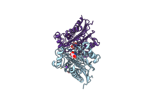4PVS image