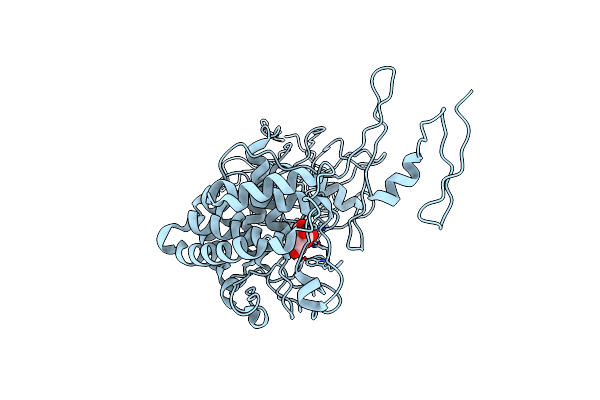 4PW2 image