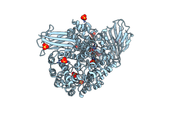 4PW4 image