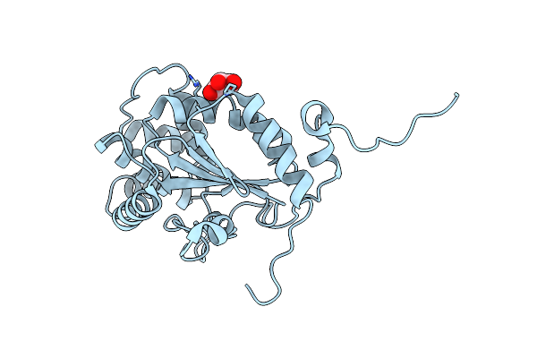 4PWP image