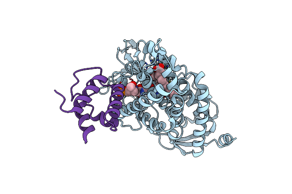 4PWV image