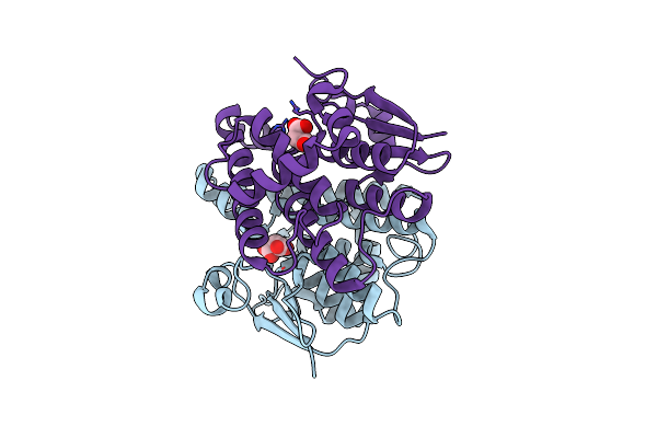 4PX1 image