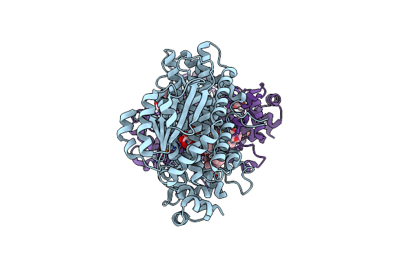 4PX2 image