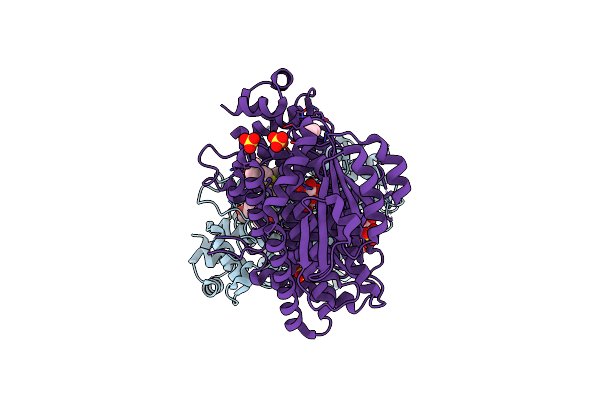 4PX5 image