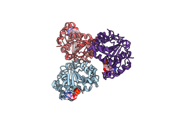4PX9 image