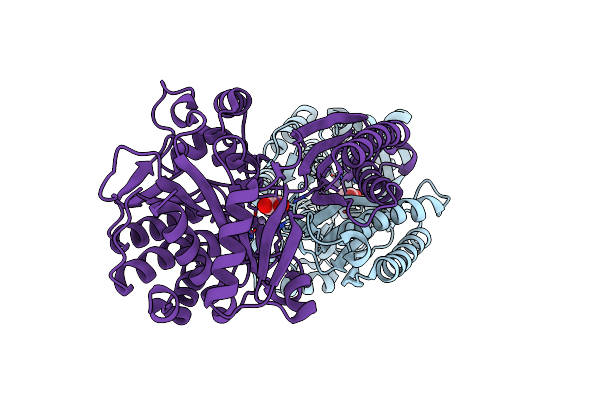 4PXE image