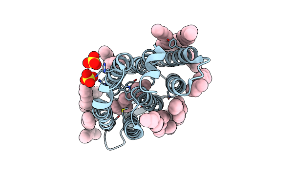 4PXK image