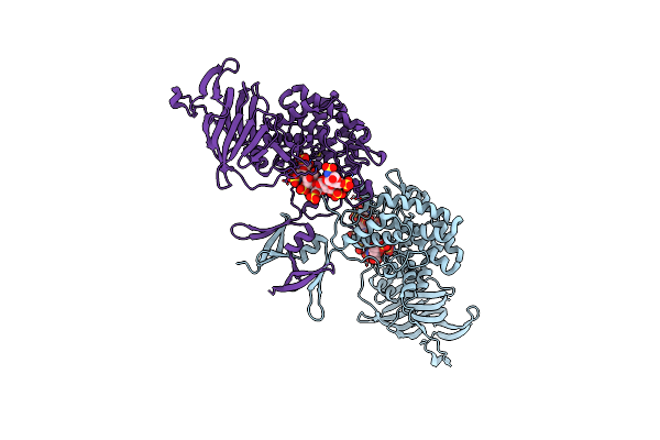 4PXQ image
