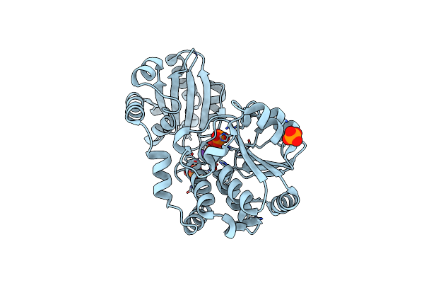 4PY9 image