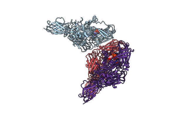 4PYG image