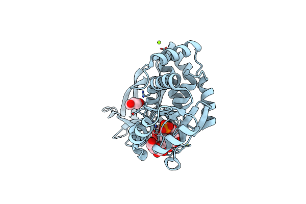 4PYH image