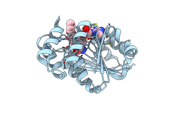 4PYL image