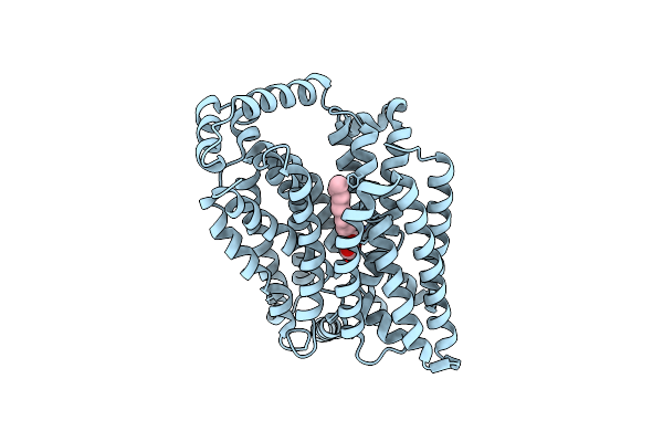 4PYP image