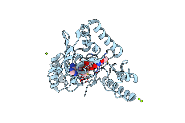 4PYT image