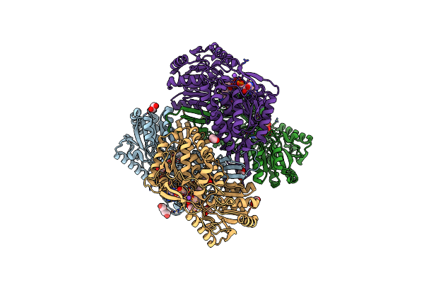 4PZ2 image