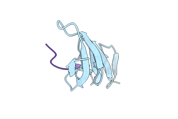4PZ5 image