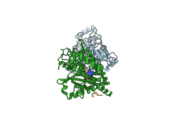 4PZ6 image