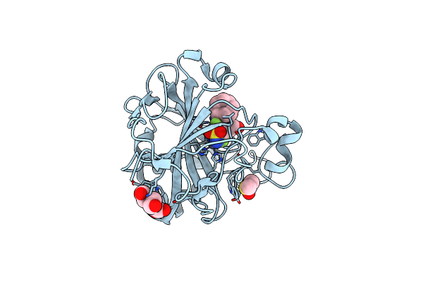 4Q07 image