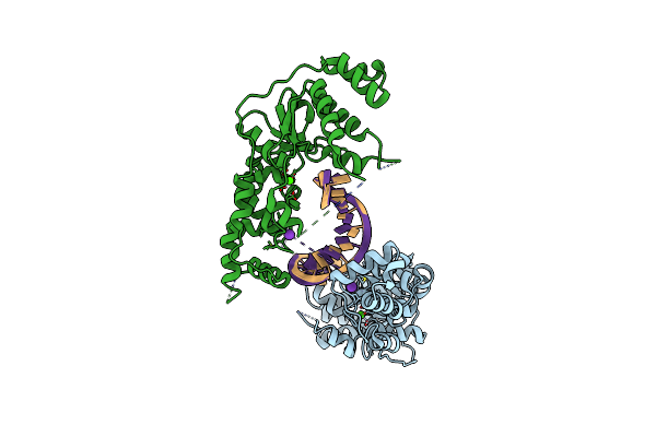 4Q10 image