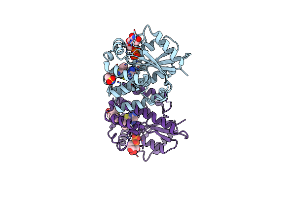 4Q1B image