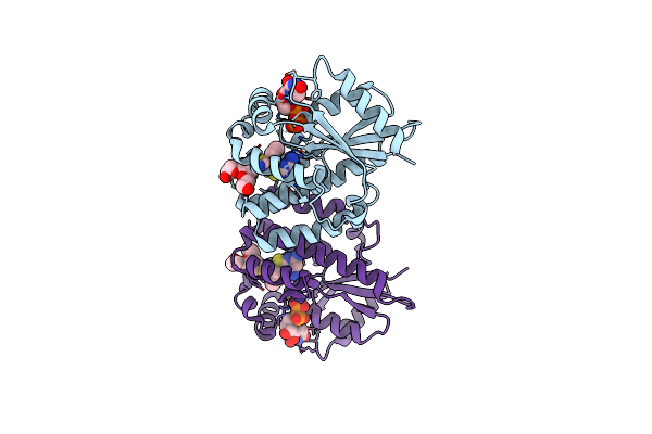 4Q1C image