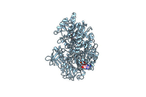 4Q2D image
