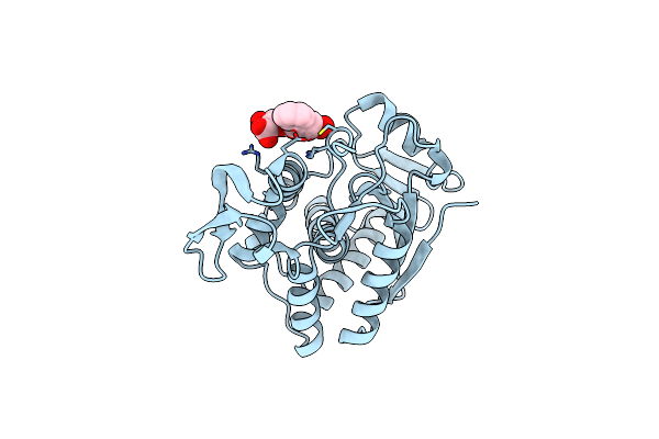 4Q2V image